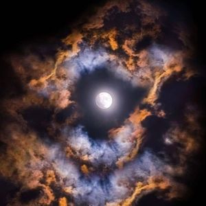 Meet your Posher, Dean